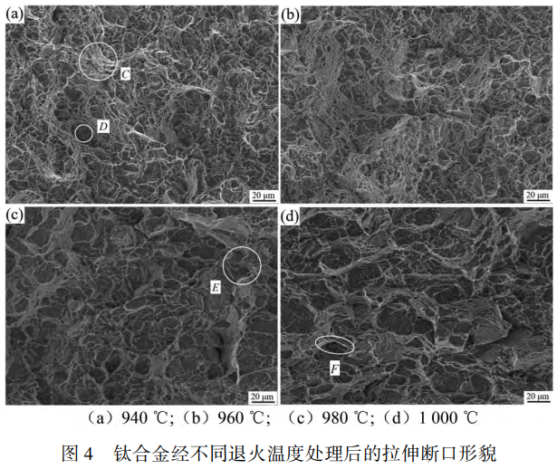填補單相區(qū)退火研究空白：TC11鈦合金棒經不同溫度退火處理后的微觀組織（α相/β相）演變機制、拉伸性能（屈服強度/抗拉強度/斷面收縮率）變化規(guī)律及斷口斷裂機制的耦合分析與工藝精準調控建議