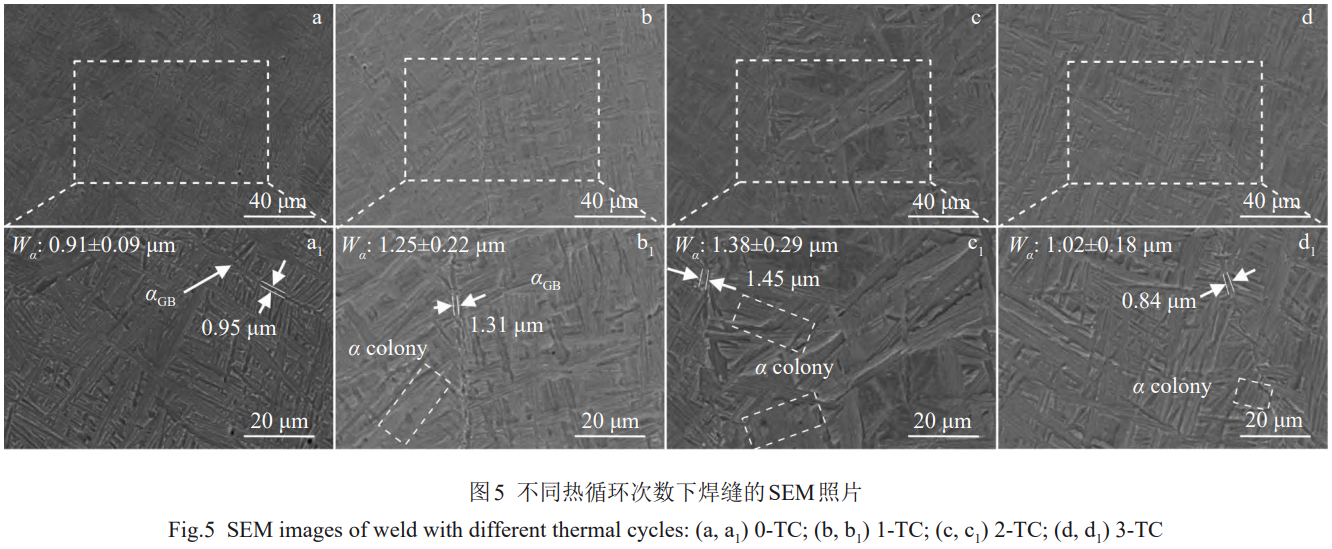 1773578384592716.png 5.png